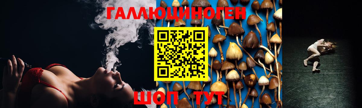 Псилоцибиновые грибы мицелий Домодедово